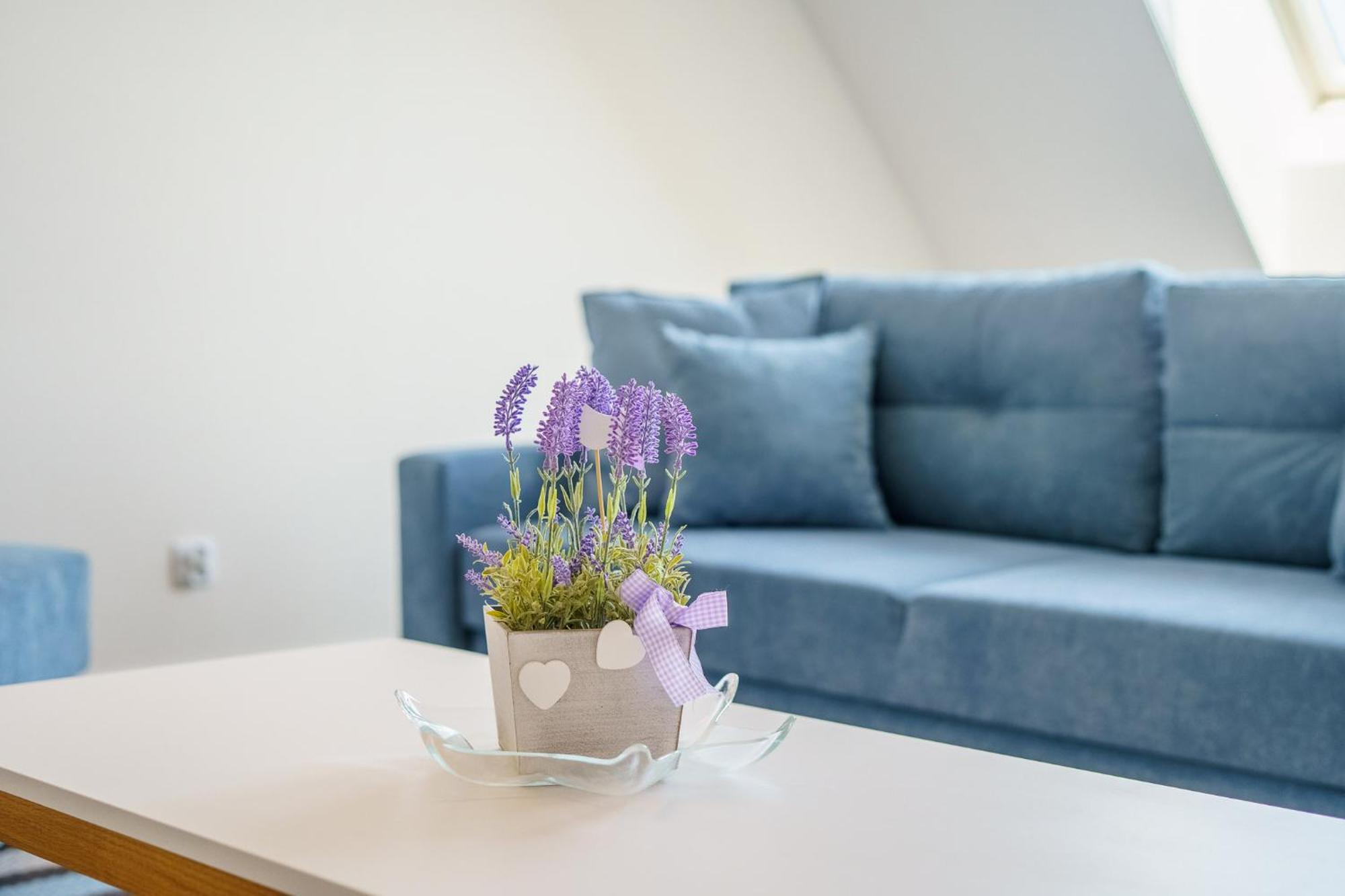 Bel Mare Miedzyzdroje Apartment With Balcony By Noclegi Renters 外观 照片